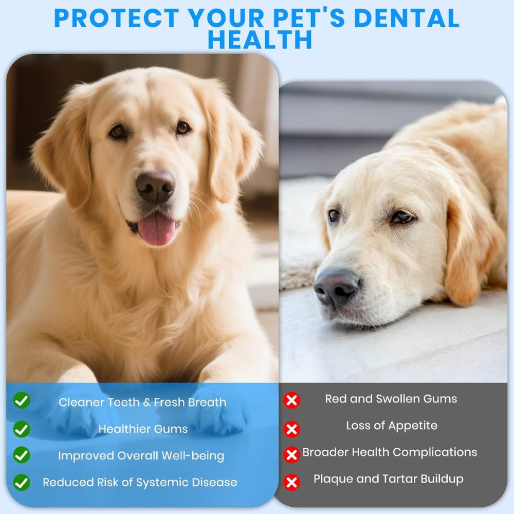 FluxPets™ Ultrasonic Tooth Cleaner