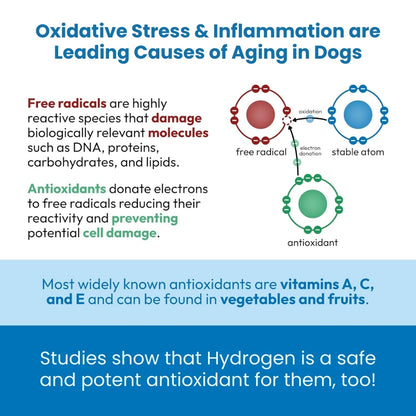 FluxPets™ Hydrogen Water System